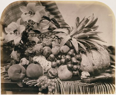 Nature morte avec fruits, 1860 - Roger Fenton